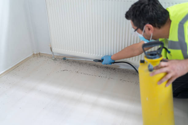 Best Pest Removal Services  in Cut Bank, MT